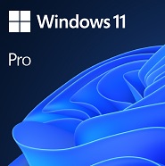 Windows 11 Pro